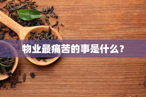 物业最痛苦的事是什么？