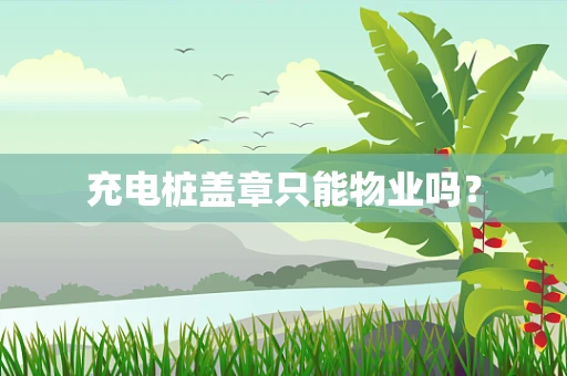 充电桩盖章只能物业吗？