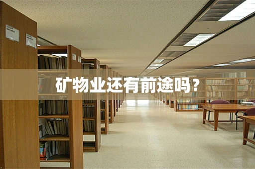 矿物业还有前途吗？