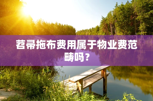 苕帚拖布费用属于物业费范畴吗？
