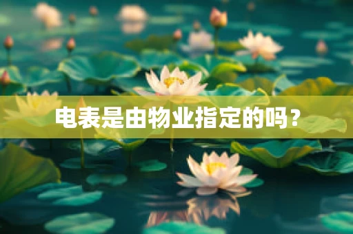 电表是由物业指定的吗？