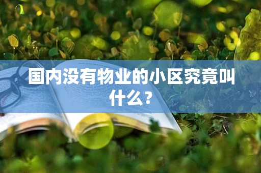 国内没有物业的小区究竟叫什么？