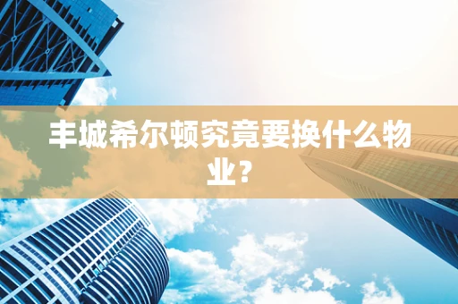 丰城希尔顿究竟要换什么物业？