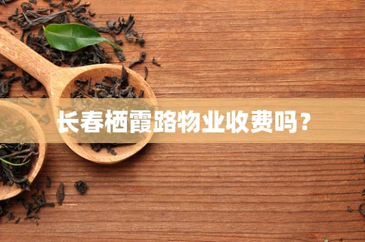 长春栖霞路物业收费吗？