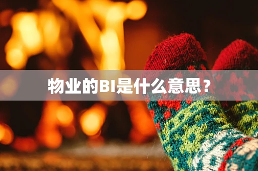 物业的BI是什么意思？