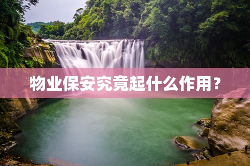 物业保安究竟起什么作用？
