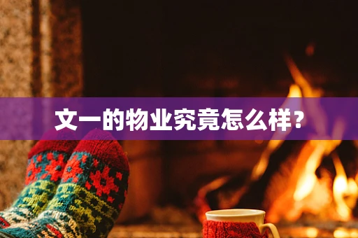 文一的物业究竟怎么样？