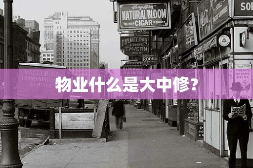 物业什么是大中修？