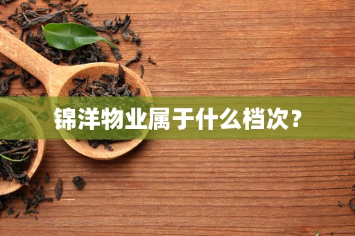 锦洋物业属于什么档次？