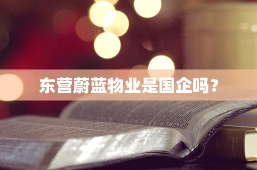 东营蔚蓝物业是国企吗？