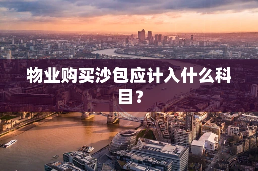 物业购买沙包应计入什么科目？