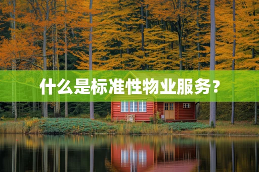 什么是标准性物业服务？
