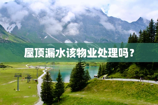 屋顶漏水该物业处理吗？