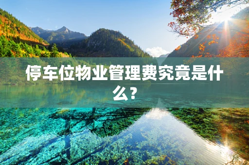停车位物业管理费究竟是什么？