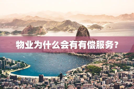 物业为什么会有有偿服务？