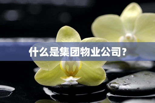 什么是集团物业公司？