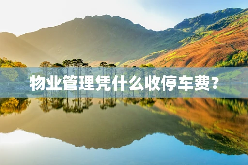 物业管理凭什么收停车费？
