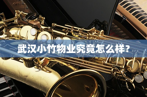 武汉小竹物业究竟怎么样？