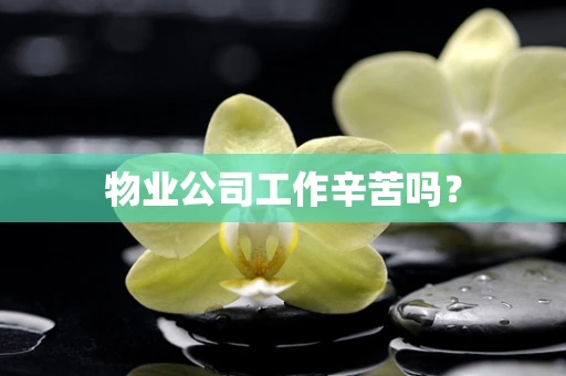 物业公司工作辛苦吗？