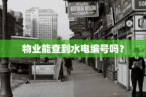 物业能查到水电编号吗？