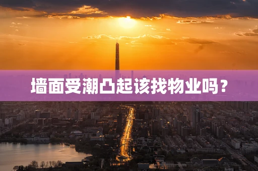 墙面受潮凸起该找物业吗？