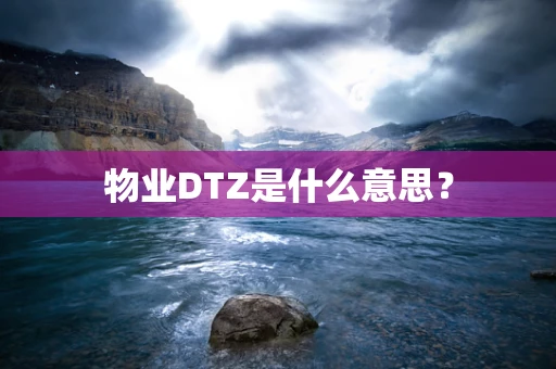 物业DTZ是什么意思？