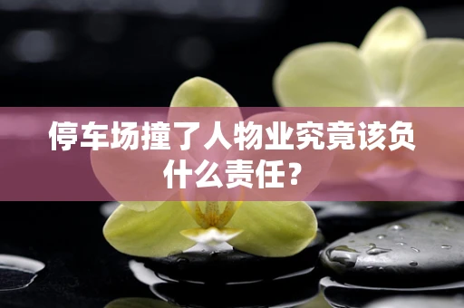 停车场撞了人物业究竟该负什么责任？