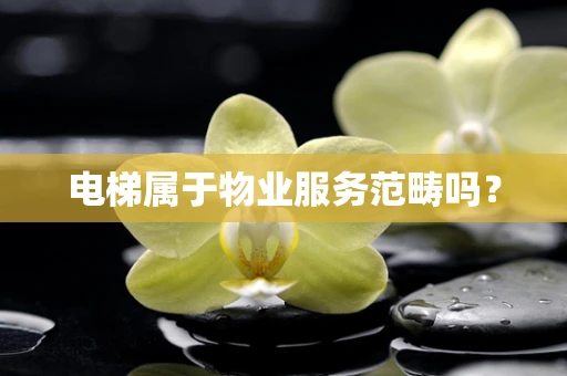 电梯属于物业服务范畴吗？