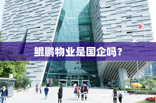 鲲鹏物业是国企吗？