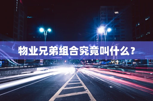 物业兄弟组合究竟叫什么？