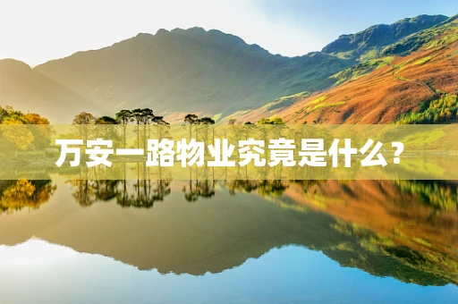 万安一路物业究竟是什么？