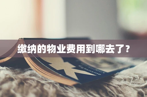 缴纳的物业费用到哪去了？