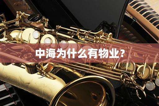 中海为什么有物业？
