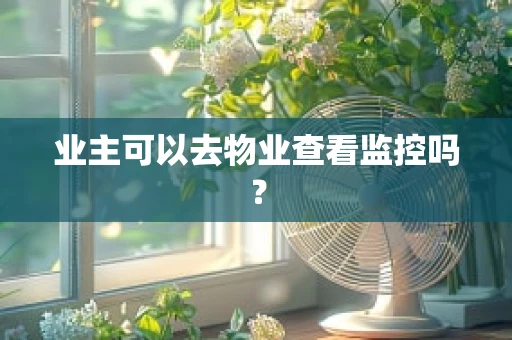 业主可以去物业查看监控吗？