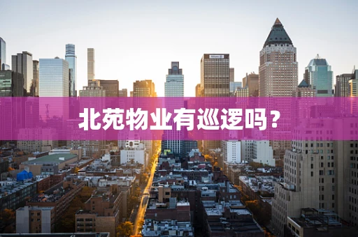 北苑物业有巡逻吗？