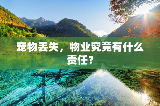 宠物丢失，物业究竟有什么责任？