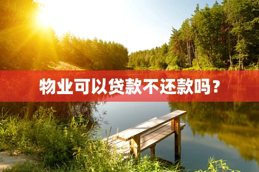 物业可以贷款不还款吗？