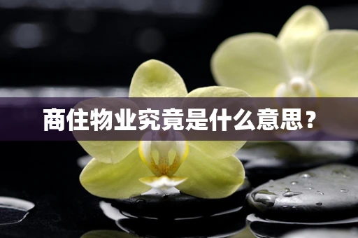商住物业究竟是什么意思？