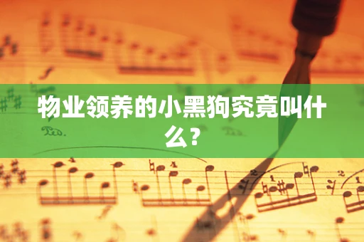 物业领养的小黑狗究竟叫什么？