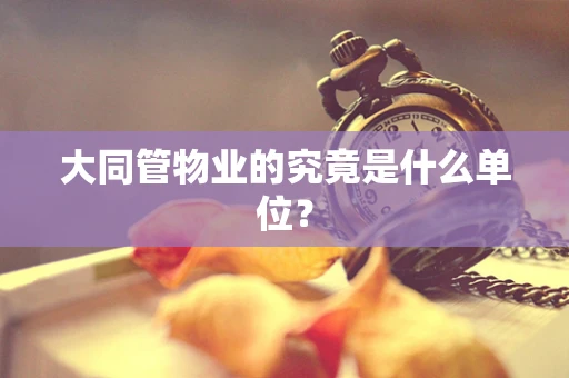 大同管物业的究竟是什么单位？