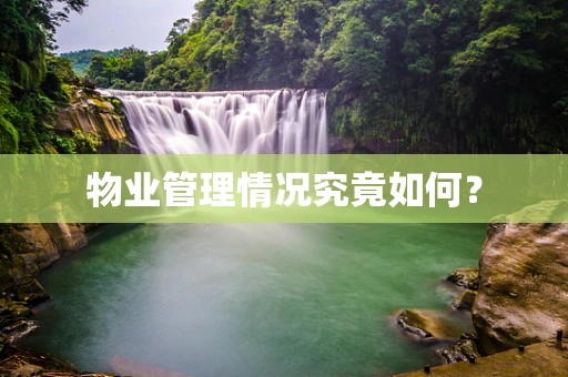物业管理情况究竟如何？