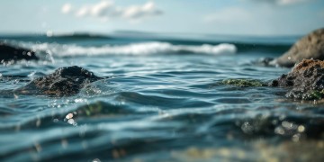 海力达物业为何叫海力达？