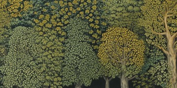 物业种植的树究竟叫什么名字？