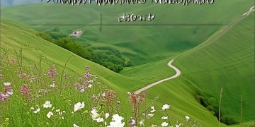 快活岭需要物业管理吗？