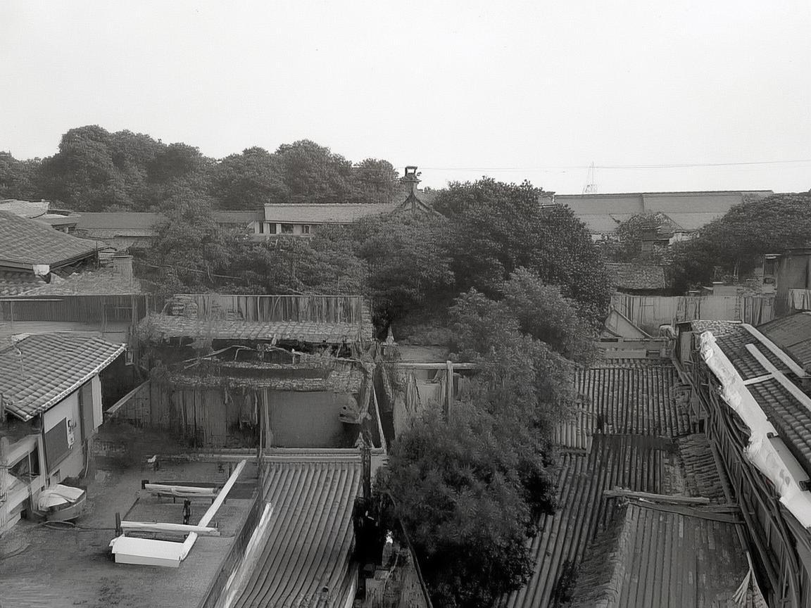 侨兴物业公众号该关注什么？